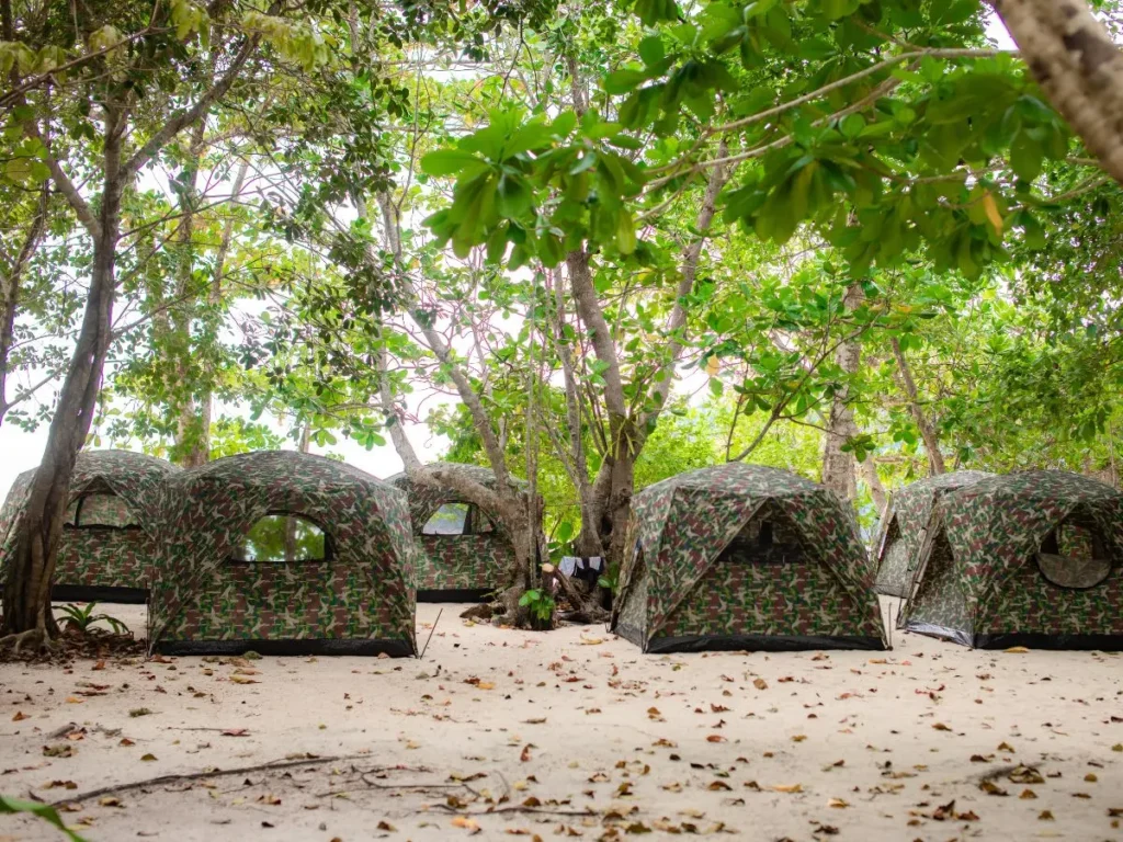 Tents beneath tropical trees beside the beach in the Surin Islands
