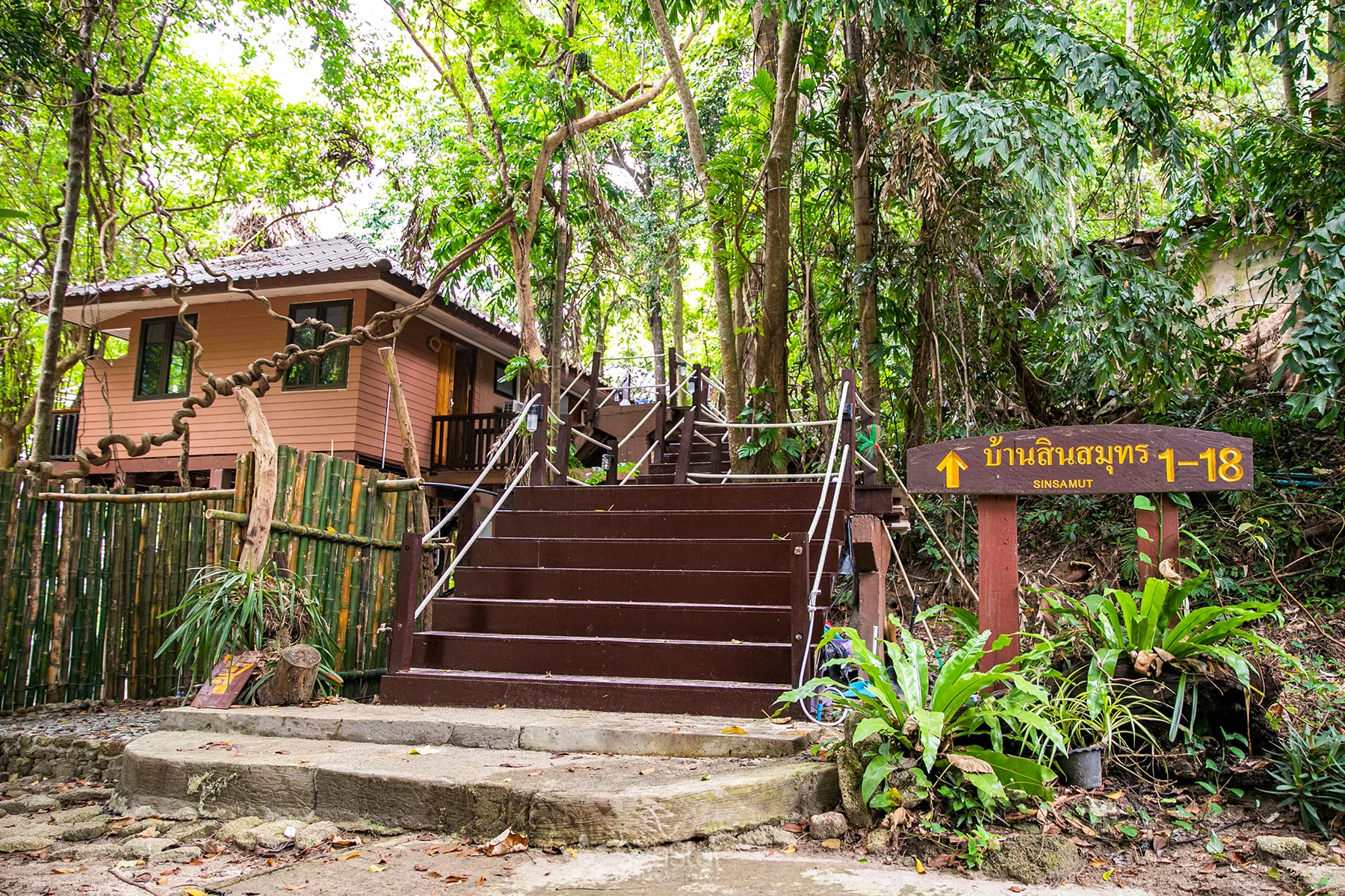 Forest path and steps leading to air-conditioned bungalows