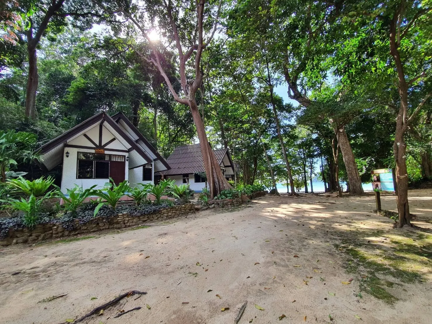 Four-person family bungalows beneath trees near the Surin Islands beach