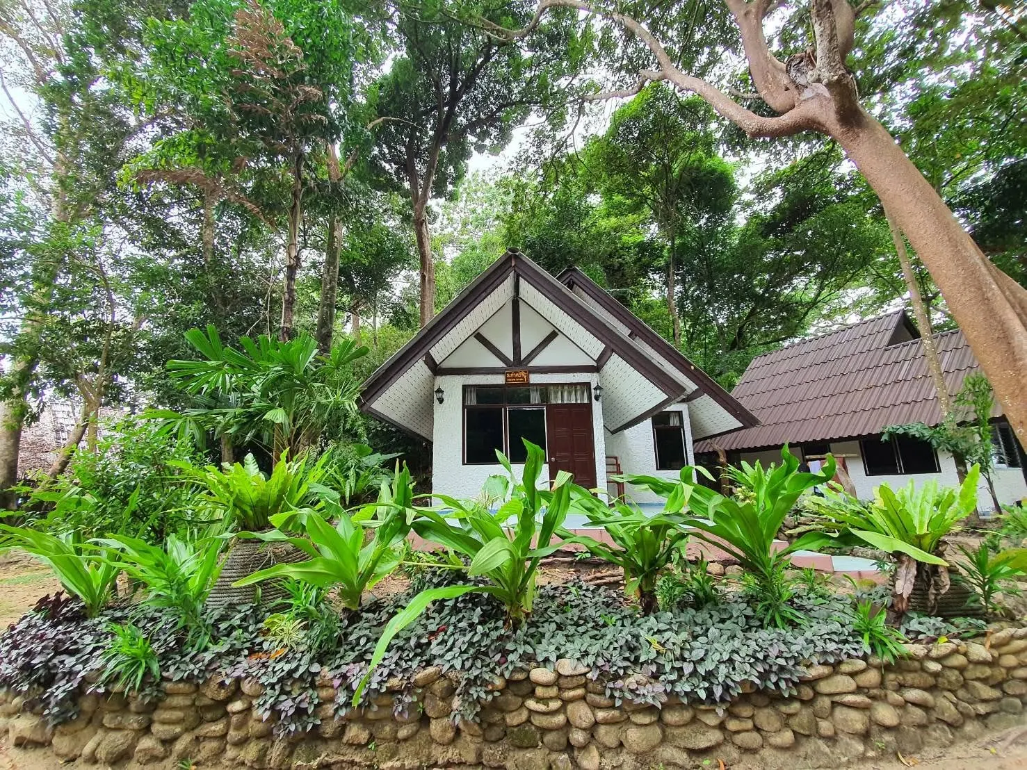 Four-person bungalow surrounded by tropical plants