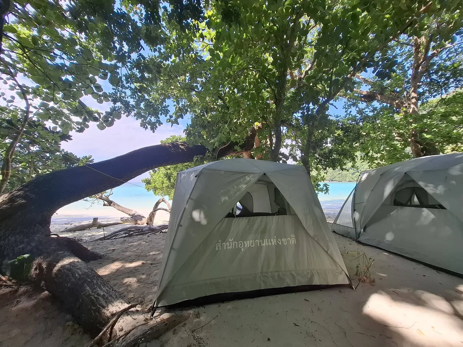 Regular beach tents shaded by trees beside the sea on the Surin Islands
