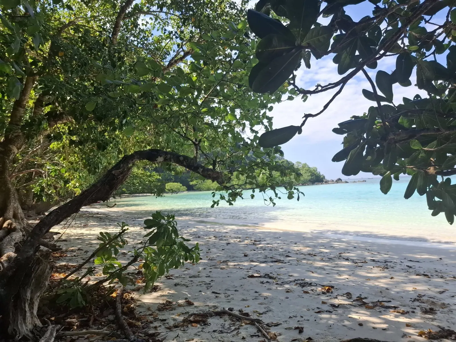 Shaded beach beside the Surin Islands camping area