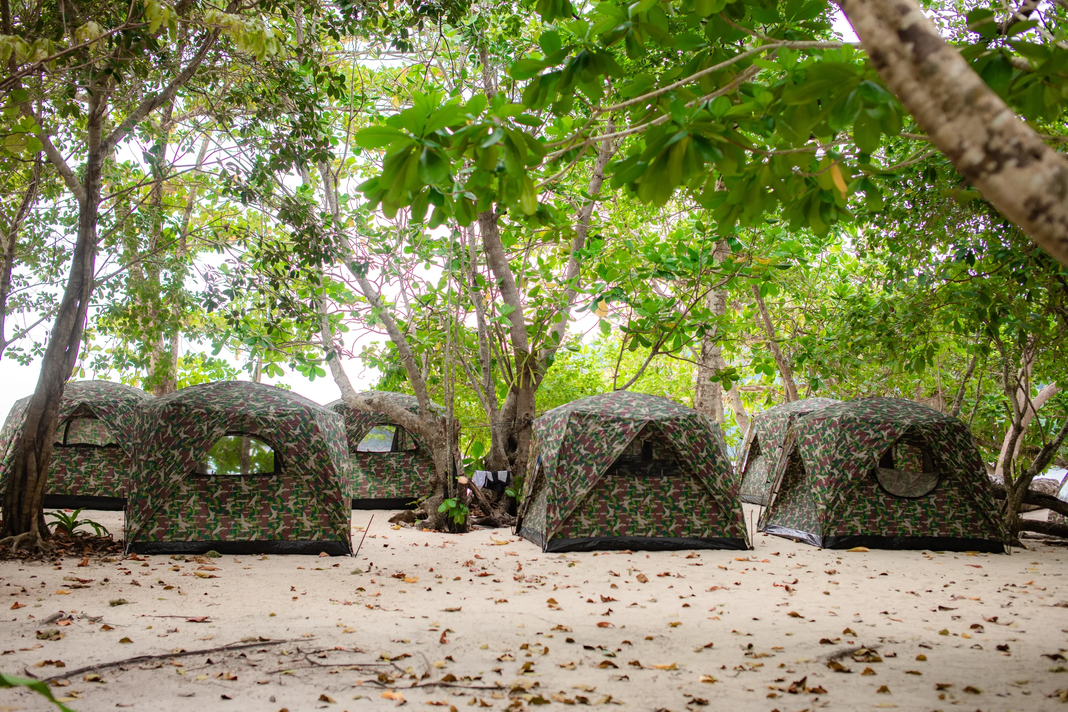 Regular tents beneath tropical trees on the Surin Islands