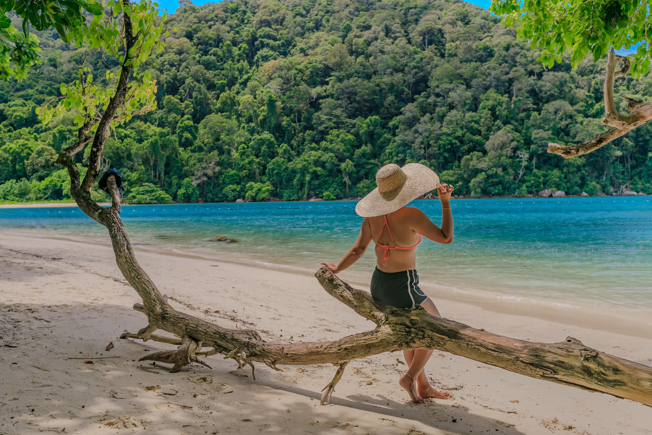 Tropical beach in Mu Ko Surin National Park