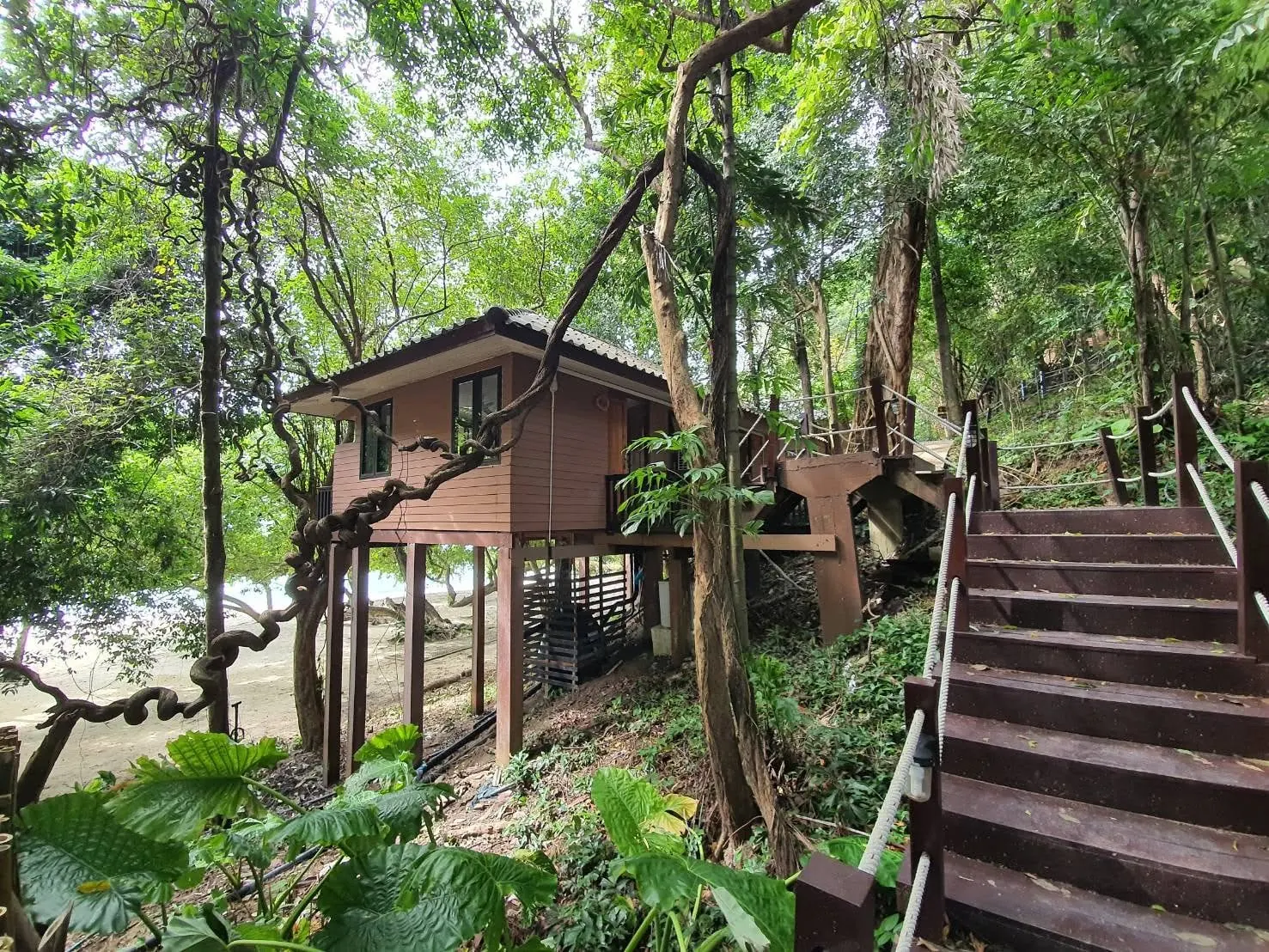 Two-person bungalow in tropical greenery